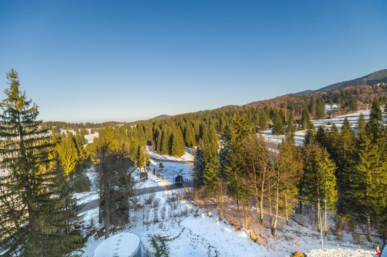Forest Corner In Silver Mountain Of Пояна Брашов Екстериор снимка