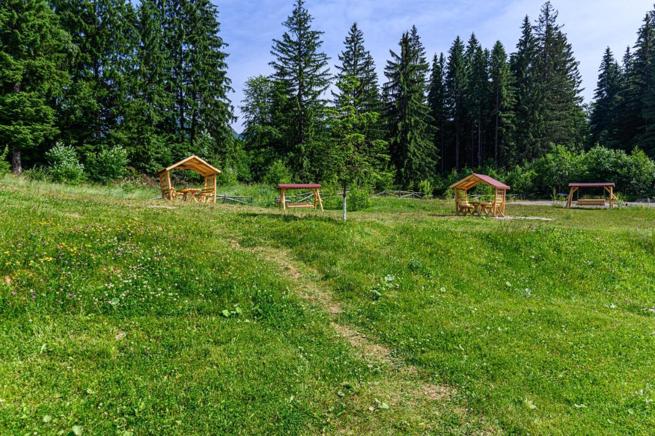 Forest Corner In Silver Mountain Of Пояна Брашов Екстериор снимка